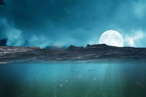 آموزش طراحی صحنه شکار کوسه در فتوشاپ